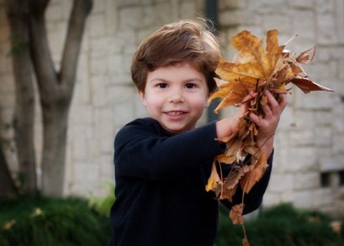 joyce7-copy joyce7-copy