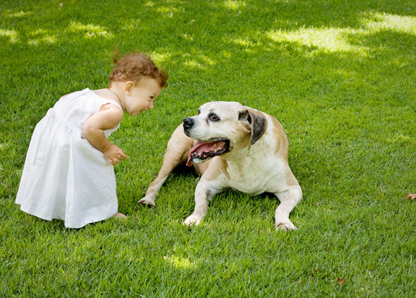 grycel5 copy grycel5 copy