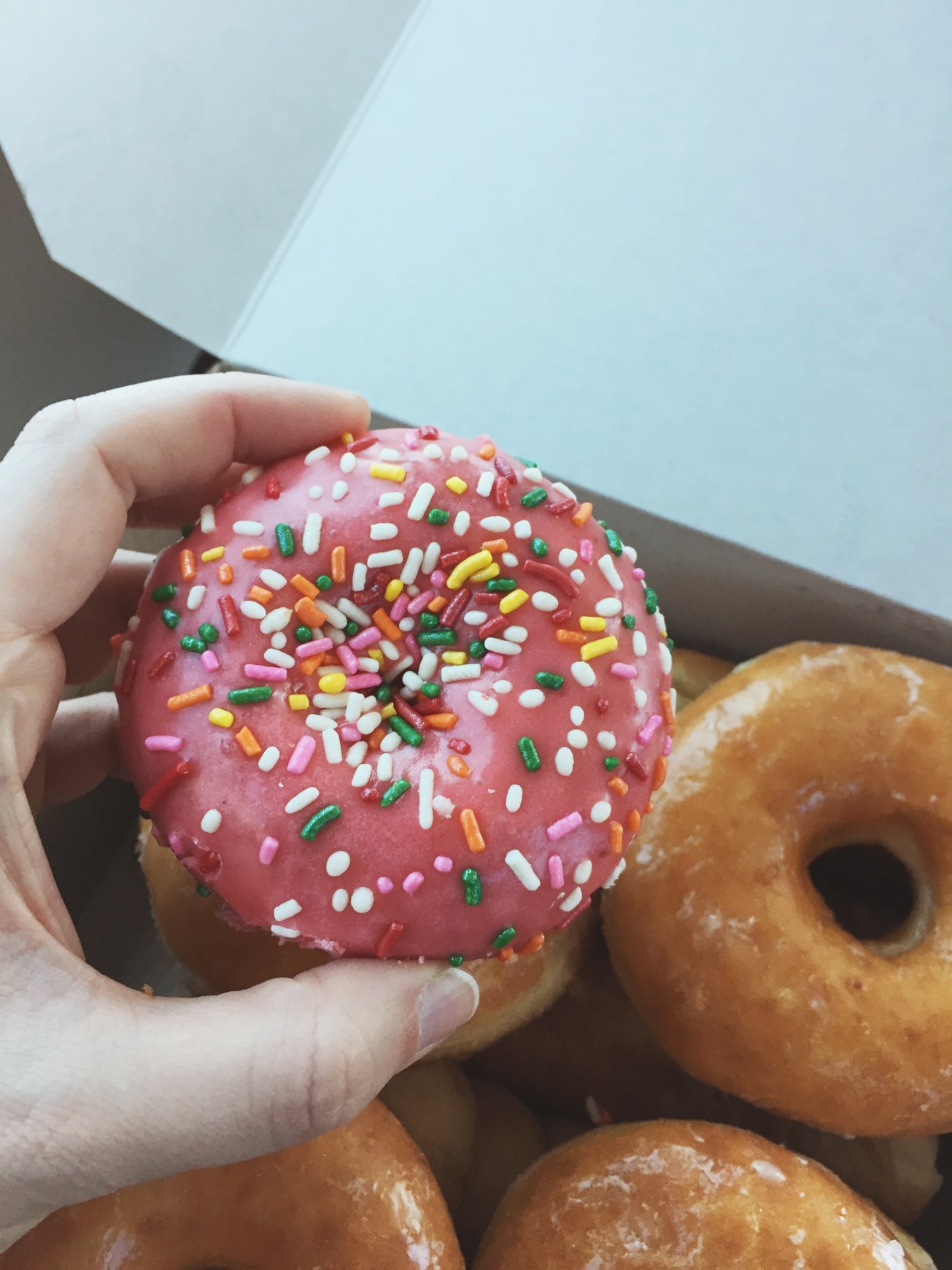 melodee tonti photography 6